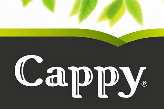 Cappy Radyo Reklamı
